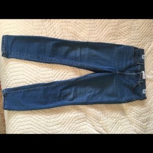 Everlane Authentic Stretch High Rise Skinny Jean